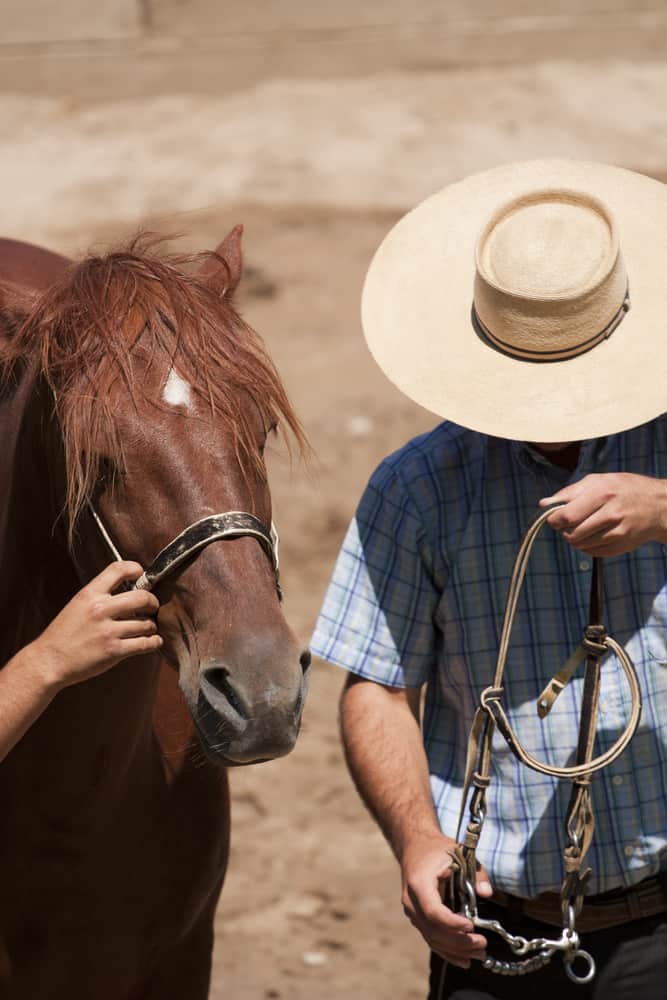 Chilean horseman wearing a plaid polo and a chupalla hat.