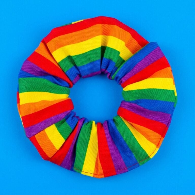 The Multicolored Striped Scrunchie That Looked Like a Rainbow Had a Good Day