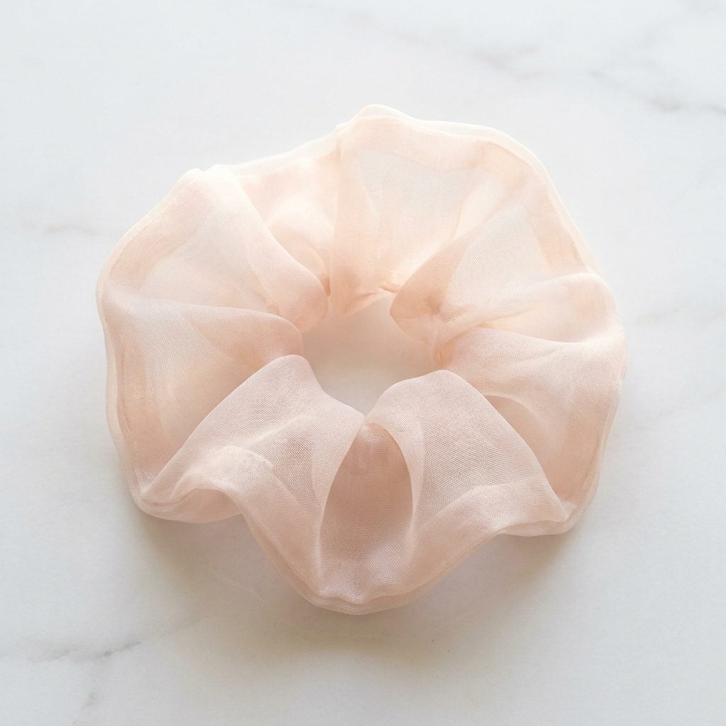 The Sheer Organza Scrunchie You Saved for Picture Day