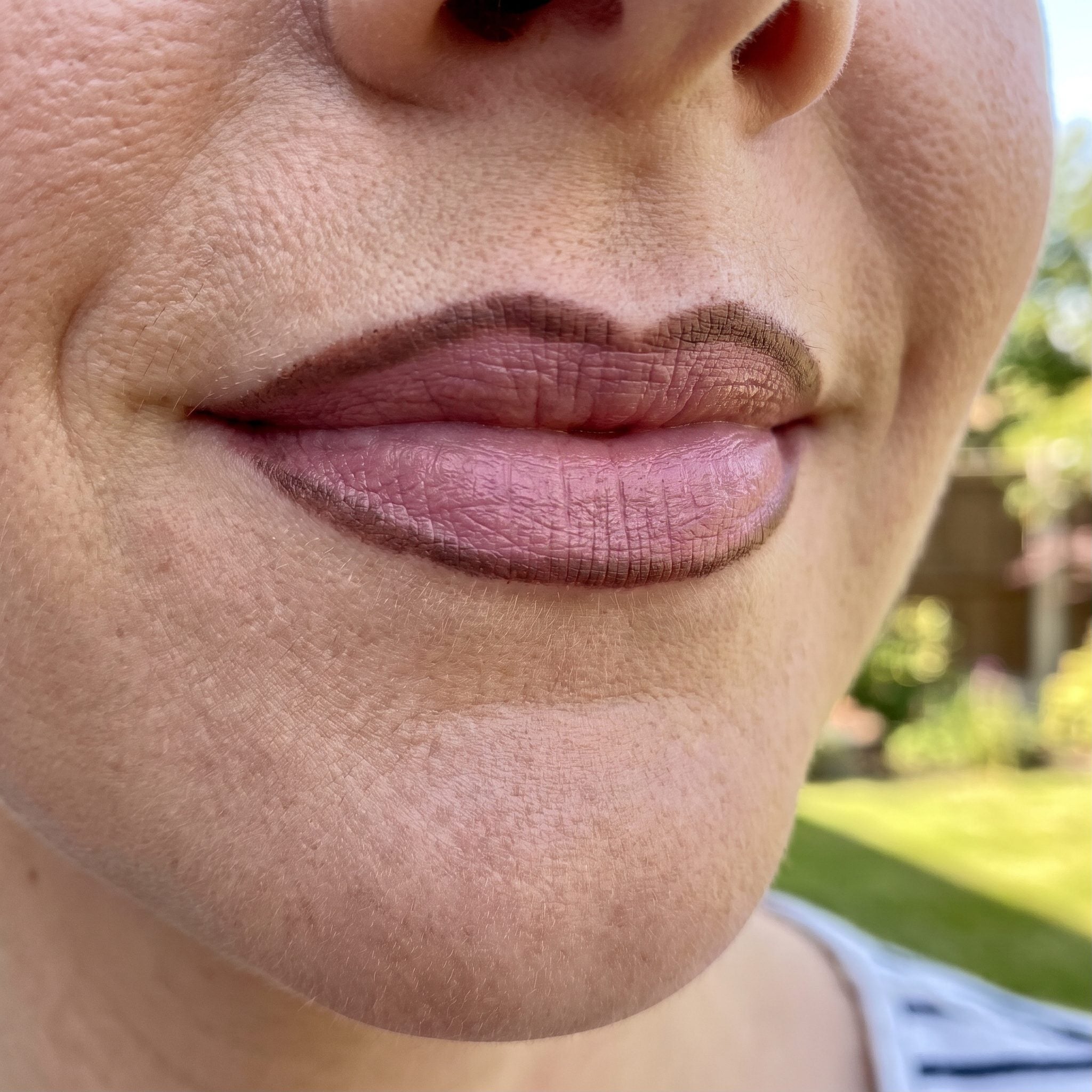 Dark Lip Liner That Outran the Lipstick by a Mile